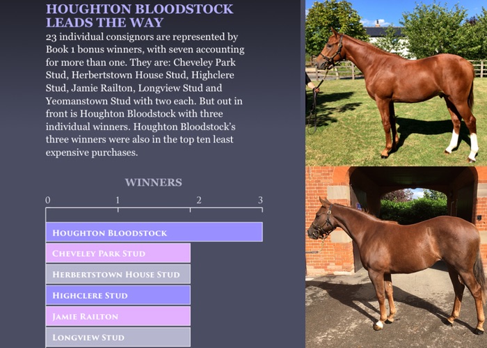 Houghton Bloodstock leading the way